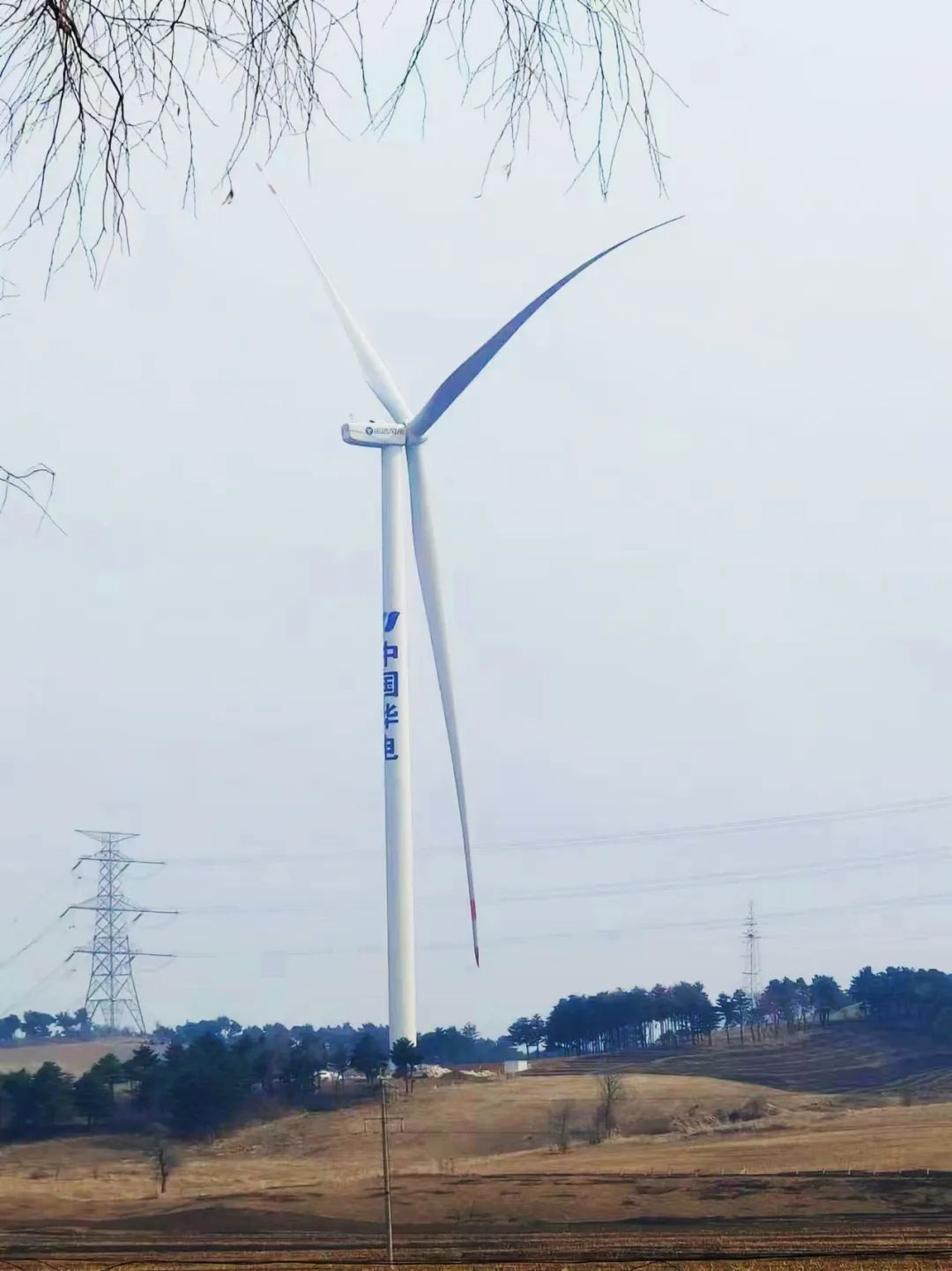 我国规模最大！运达助力，辽宁风电离网制氢示范项目投运