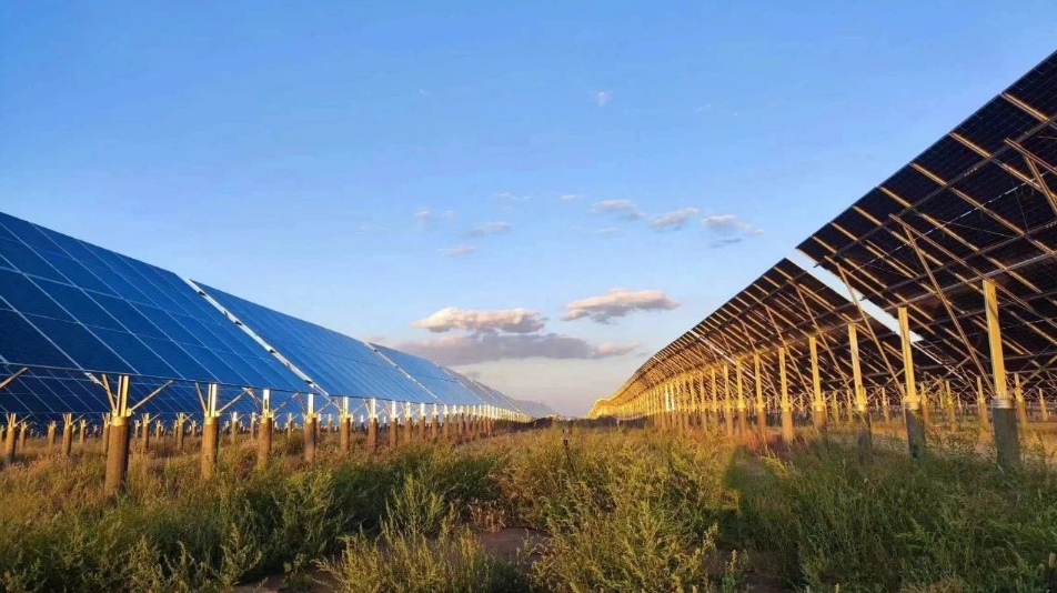 刘明胜调研中国电力