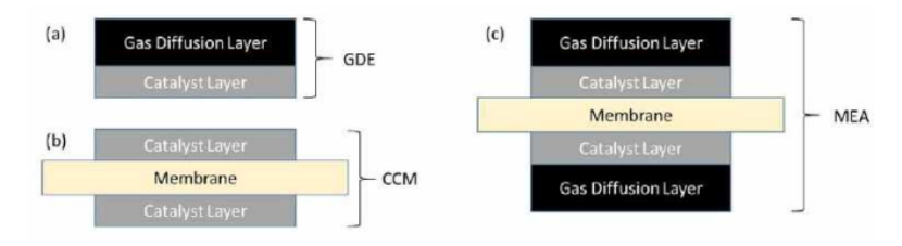 膜电极有哪些秘密？