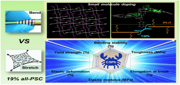 青岛能源所全聚合物太阳能电池研究获进展