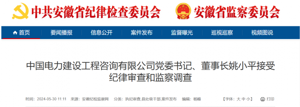 中国电力建设工程咨询公司党委书记、董事长姚小平被查