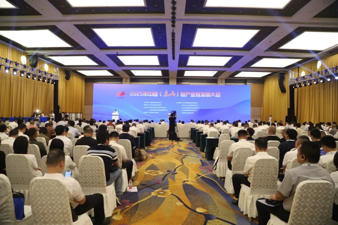 朱共山：倡导多维度推进工业硅和多晶硅供给侧改革