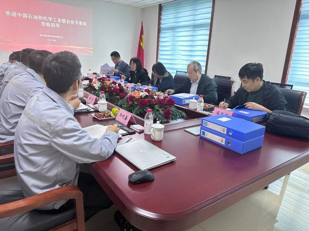 吉利创新中心千吨级二氧化碳加氢制甲醇中试项目顺利通过现场考核