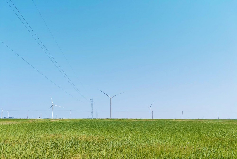 年制绿氢3.2万吨！全球最大单体绿氨装置配套风电项目全容量并